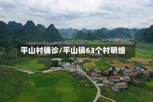 平山村确诊/平山镇63个村明细