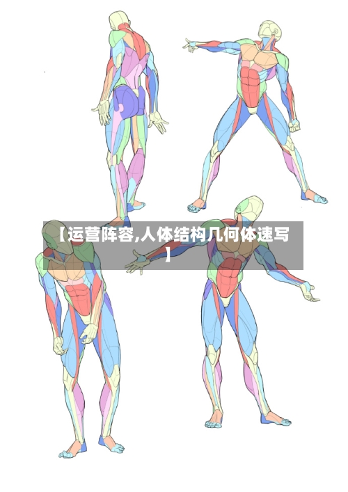 【运营阵容,人体结构几何体速写】