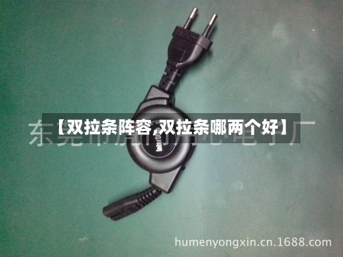 【双拉条阵容,双拉条哪两个好】-第2张图片