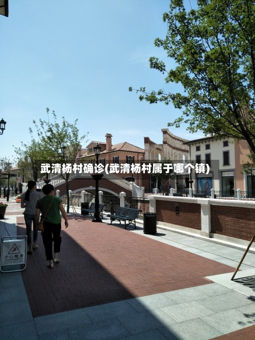 武清杨村确诊(武清杨村属于哪个镇)
