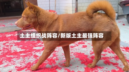 土主组织战阵容/新版土主最强阵容-第3张图片