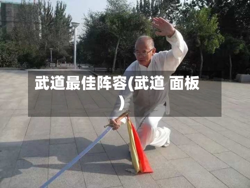武道最佳阵容(武道 面板)