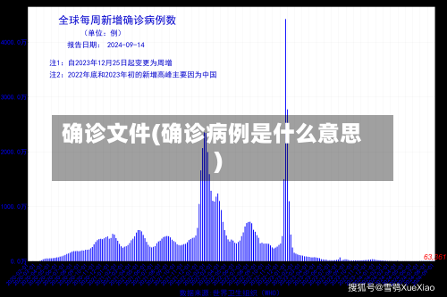 确诊文件(确诊病例是什么意思)