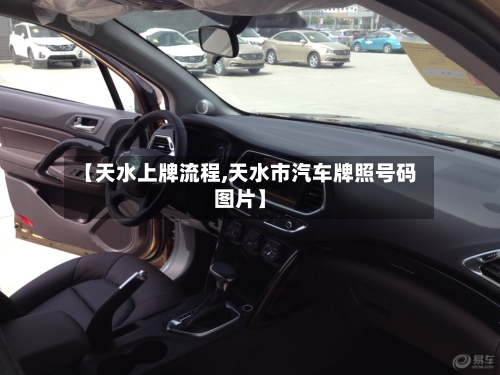 【天水上牌流程,天水市汽车牌照号码图片】
