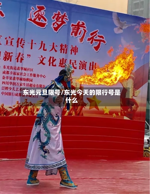 东光元旦限号/东光今天的限行号是什么