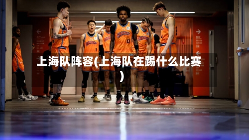 上海队阵容(上海队在踢什么比赛)