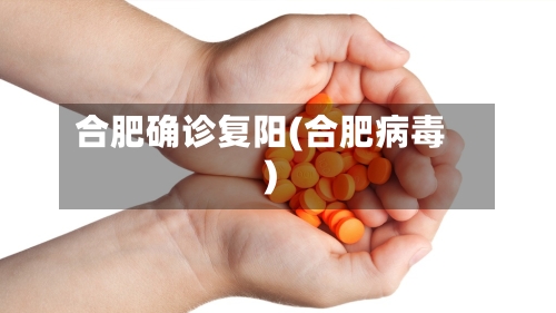 合肥确诊复阳(合肥病毒)-第2张图片