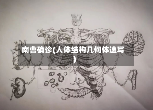 南曹确诊(人体结构几何体速写)-第2张图片