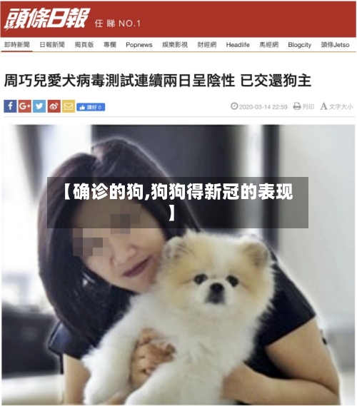 【确诊的狗,狗狗得新冠的表现】-第3张图片