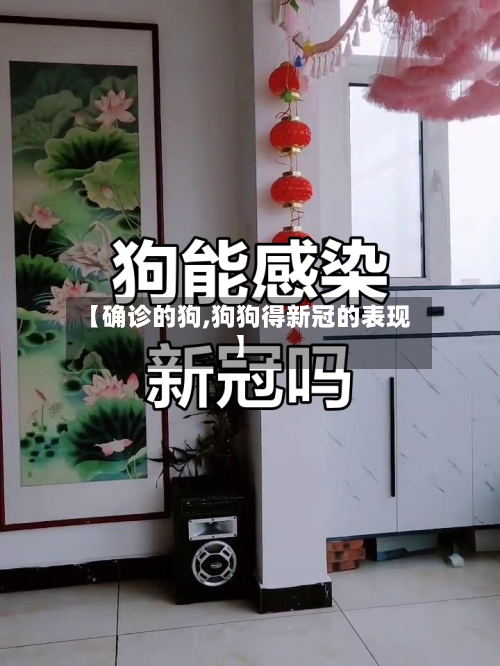 【确诊的狗,狗狗得新冠的表现】-第2张图片