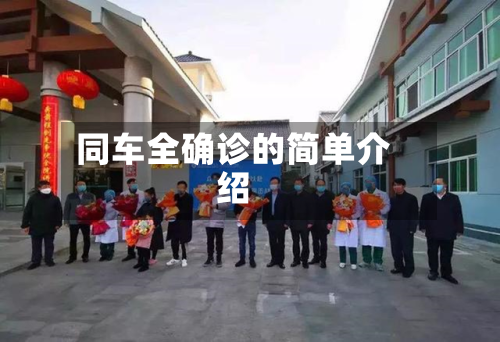 同车全确诊的简单介绍