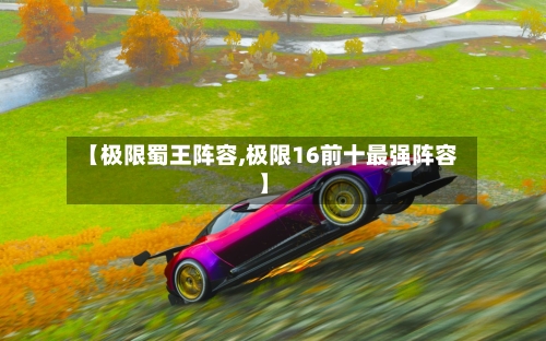 【极限蜀王阵容,极限16前十最强阵容】-第3张图片