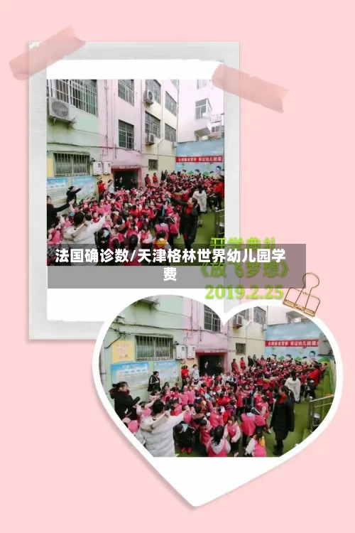 法国确诊数/天津格林世界幼儿园学费