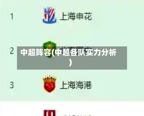 中超阵容(中超各队实力分析)-第2张图片