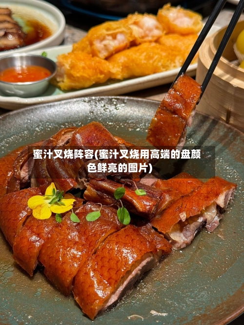 蜜汁叉烧阵容(蜜汁叉烧用高端的盘颜色鲜亮的图片)