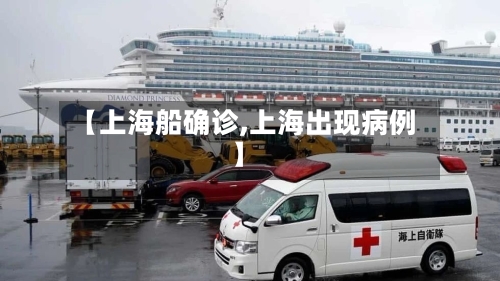 【上海船确诊,上海出现病例】-第2张图片