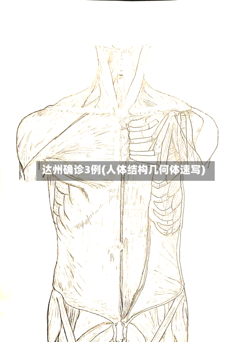 达州确诊3例(人体结构几何体速写)