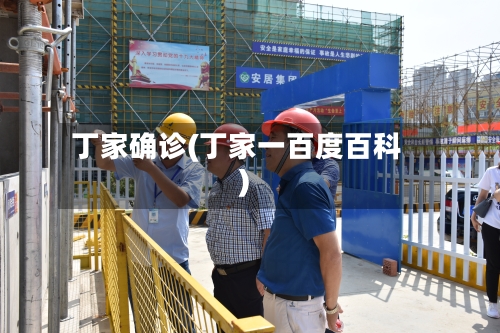 丁家确诊(丁家一百度百科)