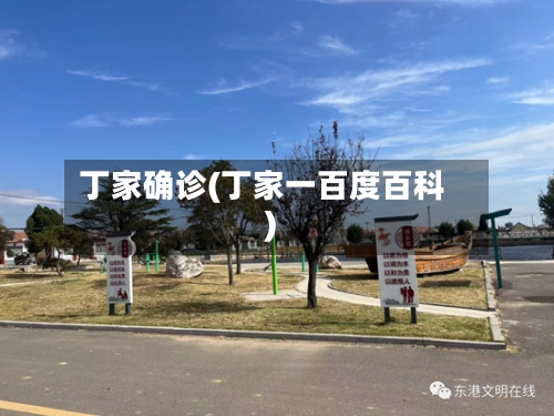 丁家确诊(丁家一百度百科)-第2张图片