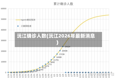 沅江确诊人数(沅江2026年最新消息)-第2张图片