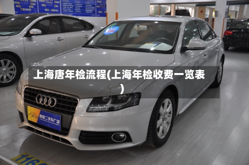 上海唐年检流程(上海年检收费一览表)