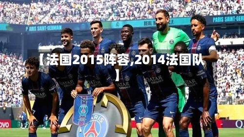 【法国2015阵容,2014法国队】