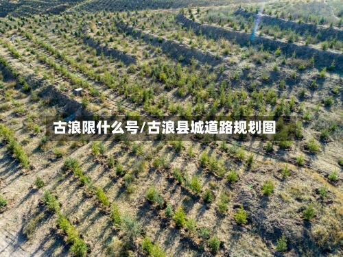 古浪限什么号/古浪县城道路规划图-第3张图片