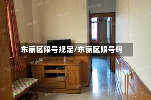 东丽区限号规定/东丽区限号吗-第2张图片