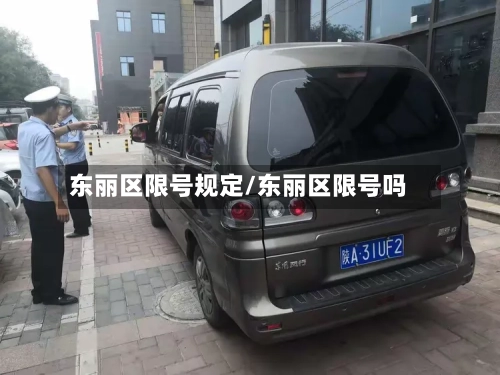 东丽区限号规定/东丽区限号吗