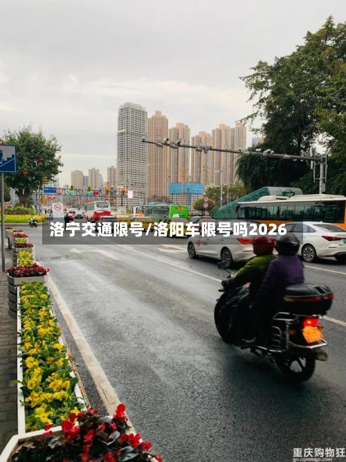 洛宁交通限号/洛阳车限号吗2026