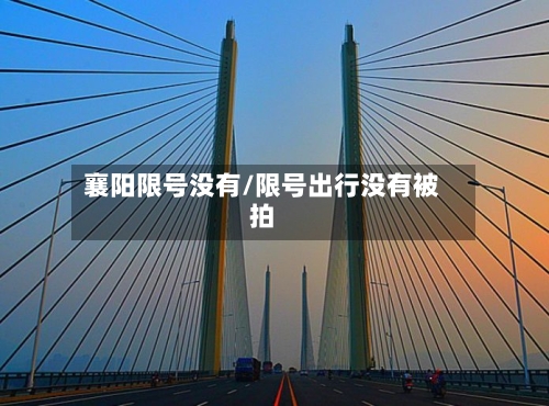 襄阳限号没有/限号出行没有被拍
