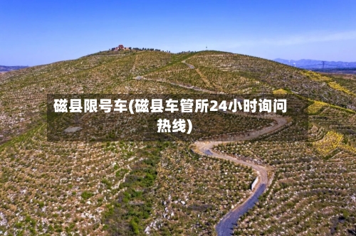 磁县限号车(磁县车管所24小时询问热线)-第3张图片