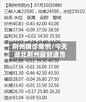 荆州确诊案例/今天湖北荆州最新通告-第2张图片