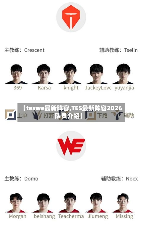 【teswe最新阵容,TES最新阵容2026队员介绍】