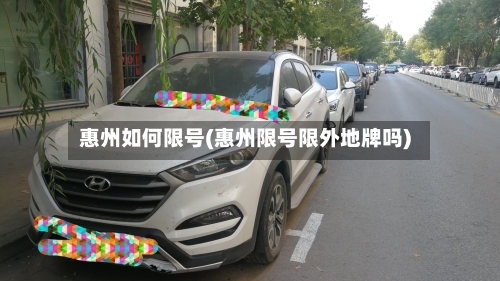 惠州如何限号(惠州限号限外地牌吗)-第3张图片