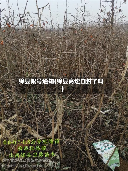 绛县限号通知(绛县高速口封了吗)-第2张图片