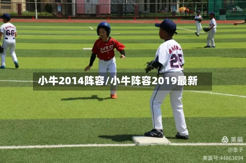 小牛2014阵容/小牛阵容2019最新-第2张图片