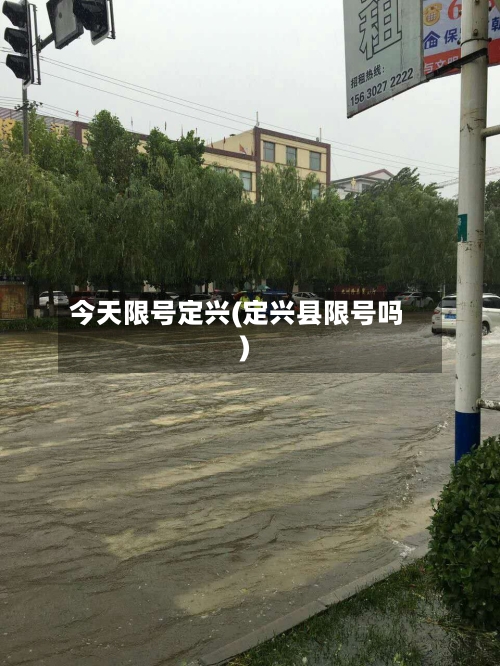 今天限号定兴(定兴县限号吗)-第2张图片