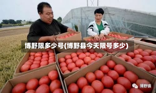 博野限多少号(博野县今天限号多少)