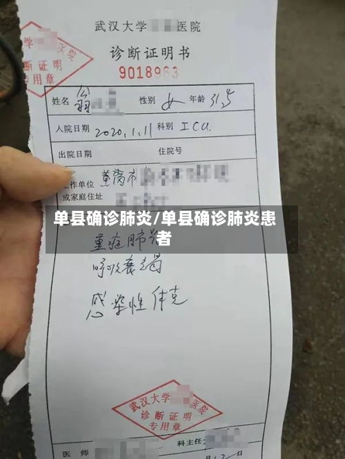 单县确诊肺炎/单县确诊肺炎患者-第2张图片