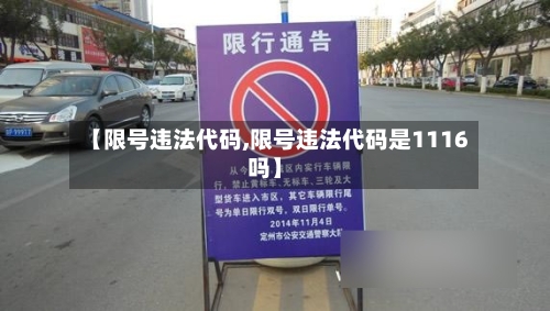 【限号违法代码,限号违法代码是1116吗】