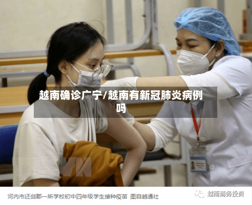越南确诊广宁/越南有新冠肺炎病例吗