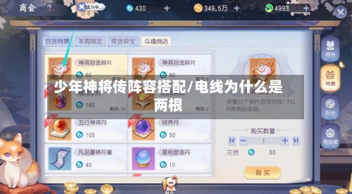 少年神将传阵容搭配/电线为什么是两根