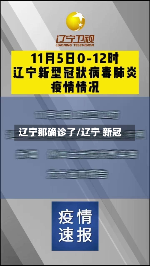 辽宁那确诊了/辽宁 新冠-第2张图片