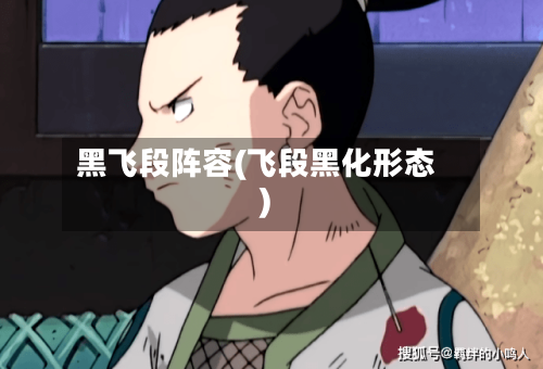 黑飞段阵容(飞段黑化形态)