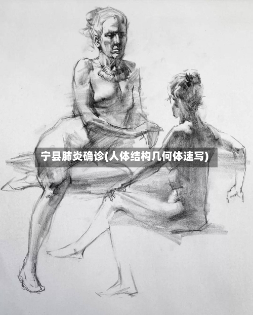 宁县肺炎确诊(人体结构几何体速写)-第3张图片