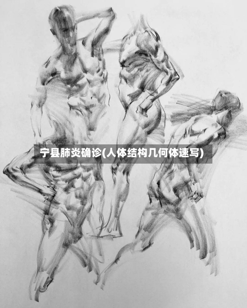 宁县肺炎确诊(人体结构几何体速写)-第2张图片