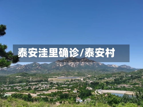 泰安洼里确诊/泰安村-第2张图片