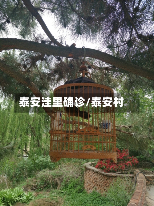 泰安洼里确诊/泰安村-第3张图片