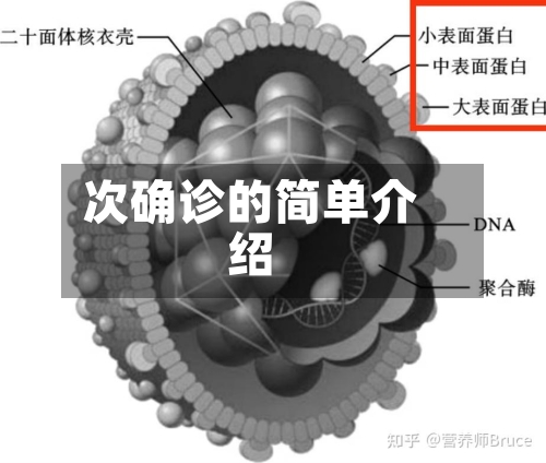 次确诊的简单介绍